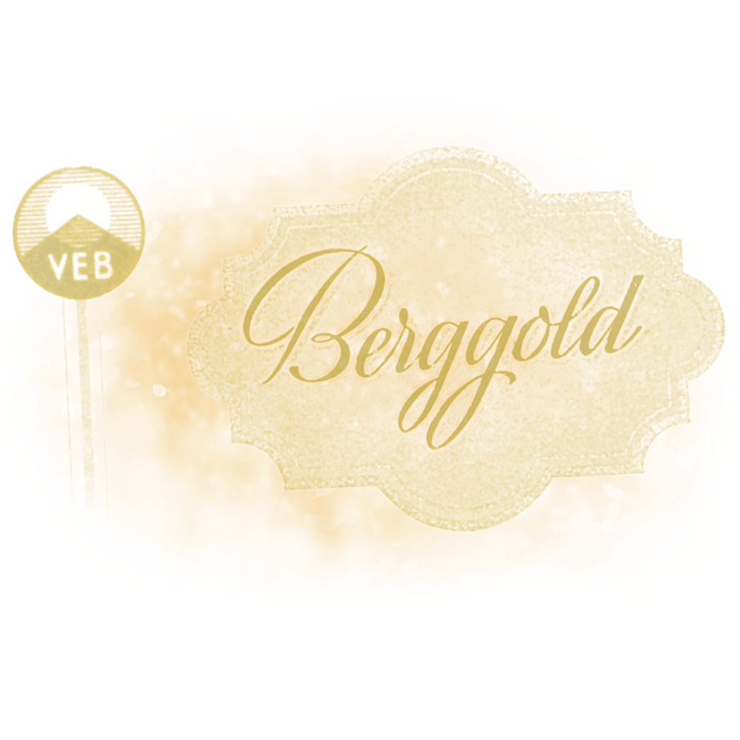 Überführung ins Volksvermögen